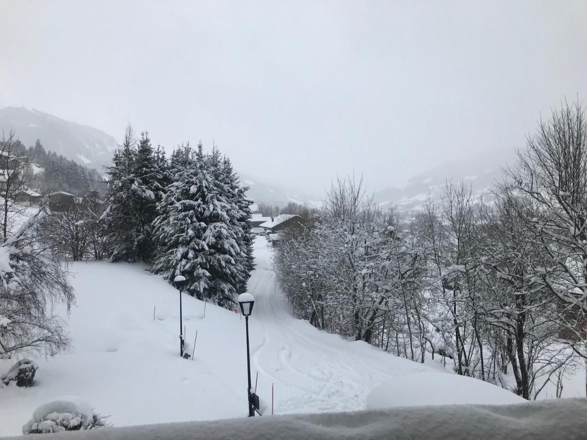 Chalet " Jeane " Proche Centre メジェーヴ エクステリア 写真